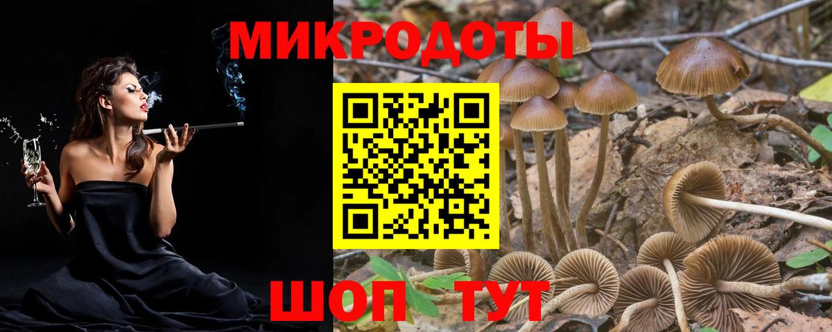Псилоцибиновые грибы Magic Shrooms  Вход с VPN  Костомукша  даркнет сайт  Псилоцибиновые грибы Psilocybine cubensis 