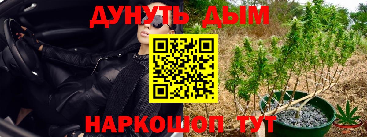 Каннабис OG Kush  Марихуана MAZAR  Конопля конопля  Вход с VPN  Костомукша 